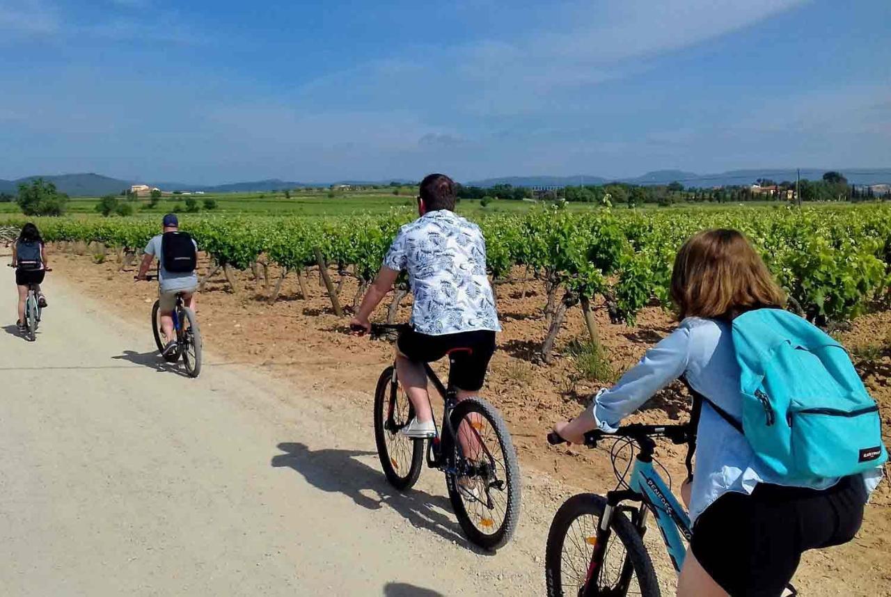 Tina De Vila, En La Capital Del Vino Vilafranca del Penedès Exterior photo